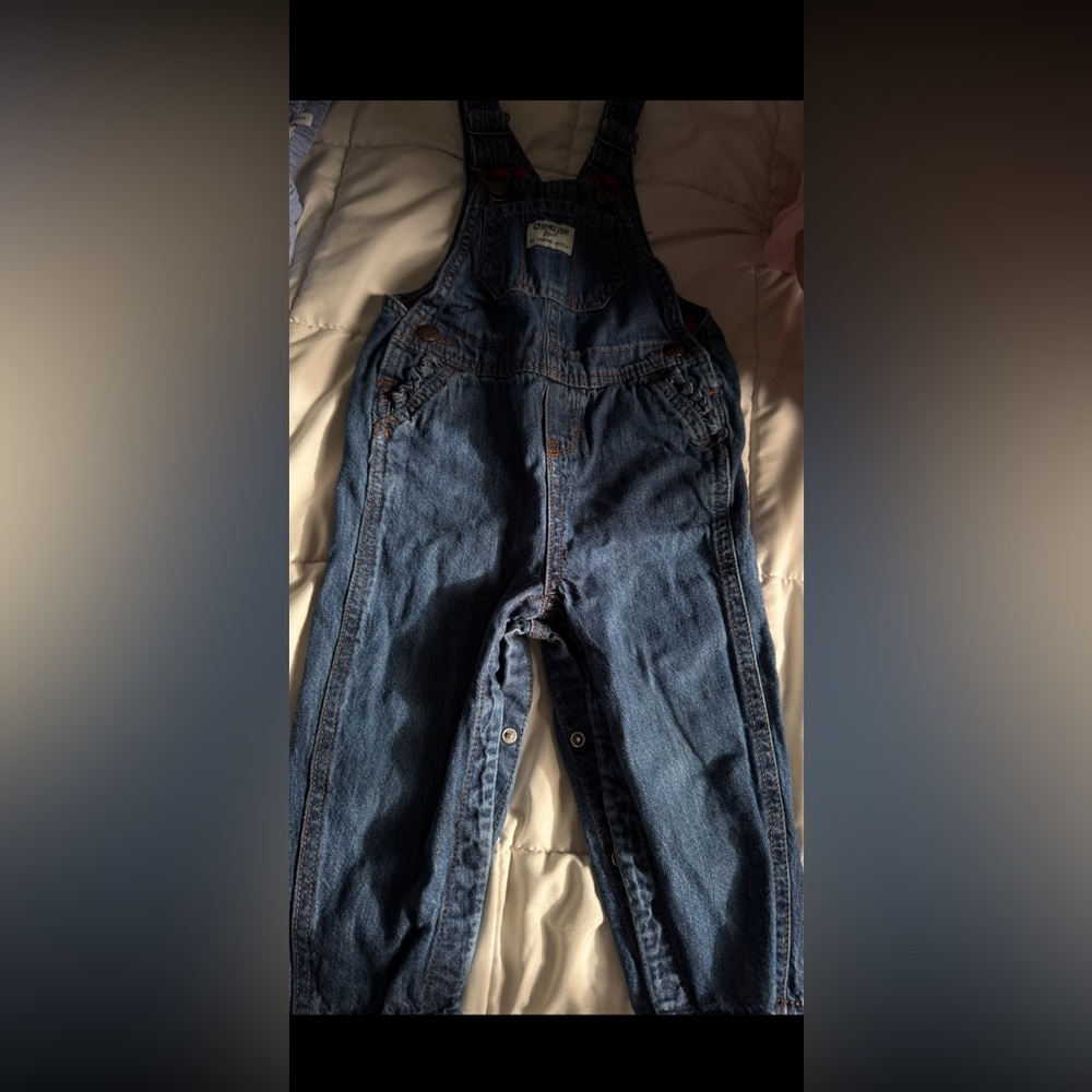 Denim Overalls